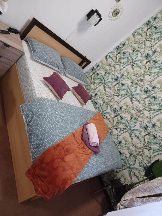 Studio Republicii Lejlighed Braşov Eksteriør billede